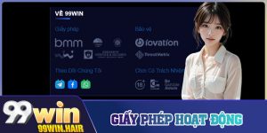 Giấy Phép Hoạt Động
