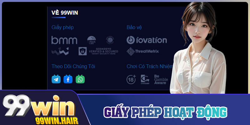 Giấy Phép Hoạt Động