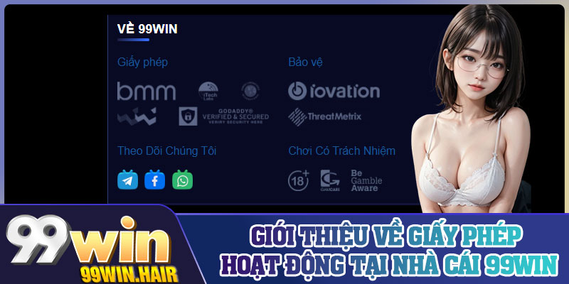 Giới thiệu về giấy phép hoạt động tại nhà cái 99Win