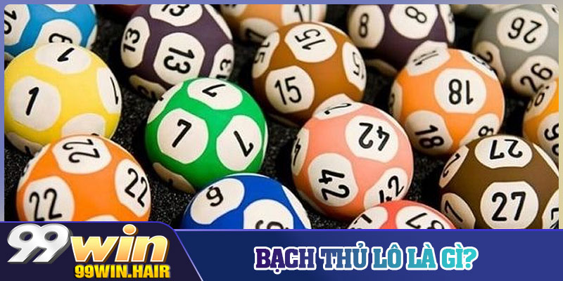 Bạch thủ lô là gì?