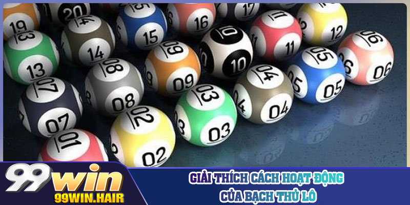 Giải thích cách hoạt động của bạch thủ lô