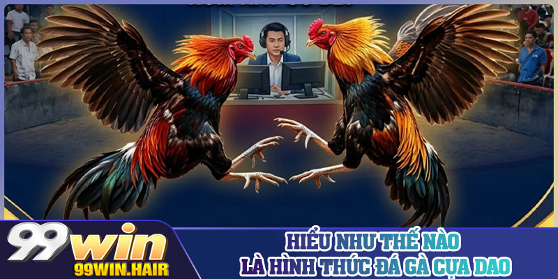 Hiểu như thế nào là hình thức đá gà cựa dao