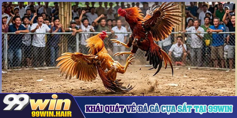 Khái quát về đá gà cựa sắt tại 99WIN