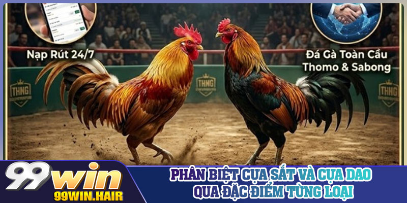 Phân biệt cựa sắt và cựa dao qua đặc điểm từng loại